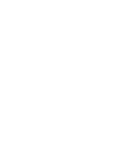 Diseño de páginas web profesional y aceleracion web WPO