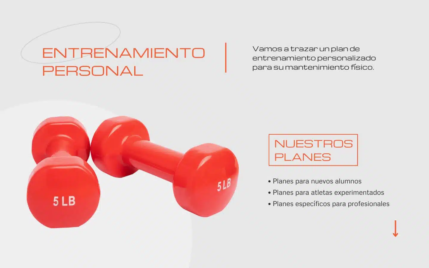 Páginas web para negocios locales y autónomos